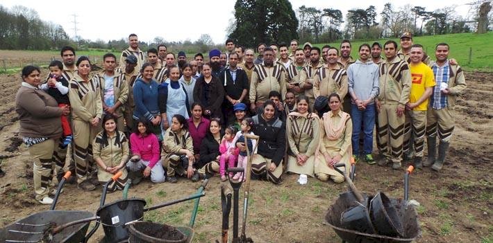 Potato Planting by Dera Sacha Sauda Volunteers in UK