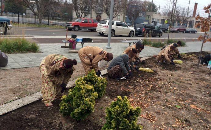 Tree Plantation Drive in Indiana by Dera Sacha Sauda