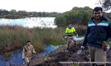 Nature Campaign at Lake Claremont, Australia