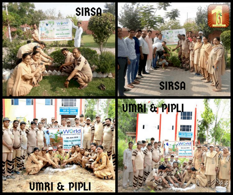 Tree Plantation By Dera Sacha Sauda Volunteers On World Environment Day