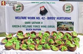 Birds Nurturing by Dera Sacha Sauda Volunteers.