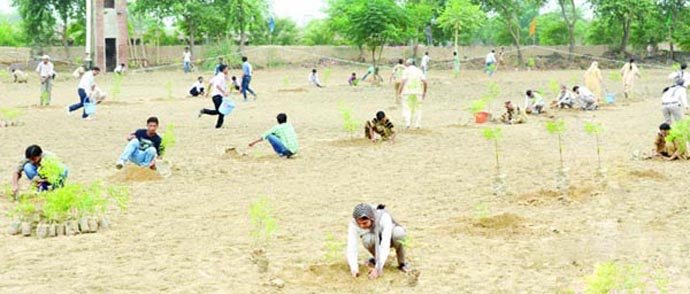 Mega Tree Plantation Drive On 15, August 2012