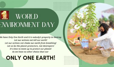 How Dera Sacha Sauda is making a difference with its sustainable initiatives? | Special on World Environment Day