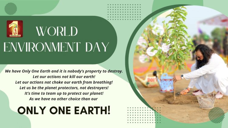 How Dera Sacha Sauda is making a difference with its sustainable initiatives? | Special on World Environment Day