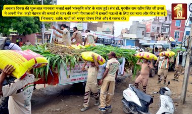 55th Incarnation Day Special: Gift of fodder and packaged feed for cattle by Saint Dr. MSG