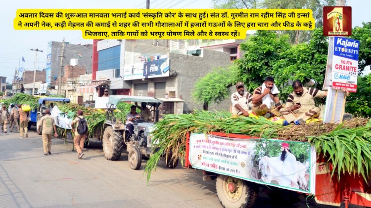 55th Incarnation Day Special: Gift of fodder and packaged feed for cattle by Saint Dr. MSG
