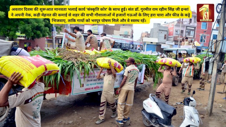 55th Incarnation Day Special: Gift of fodder and packaged feed for cattle by Saint Dr. MSG