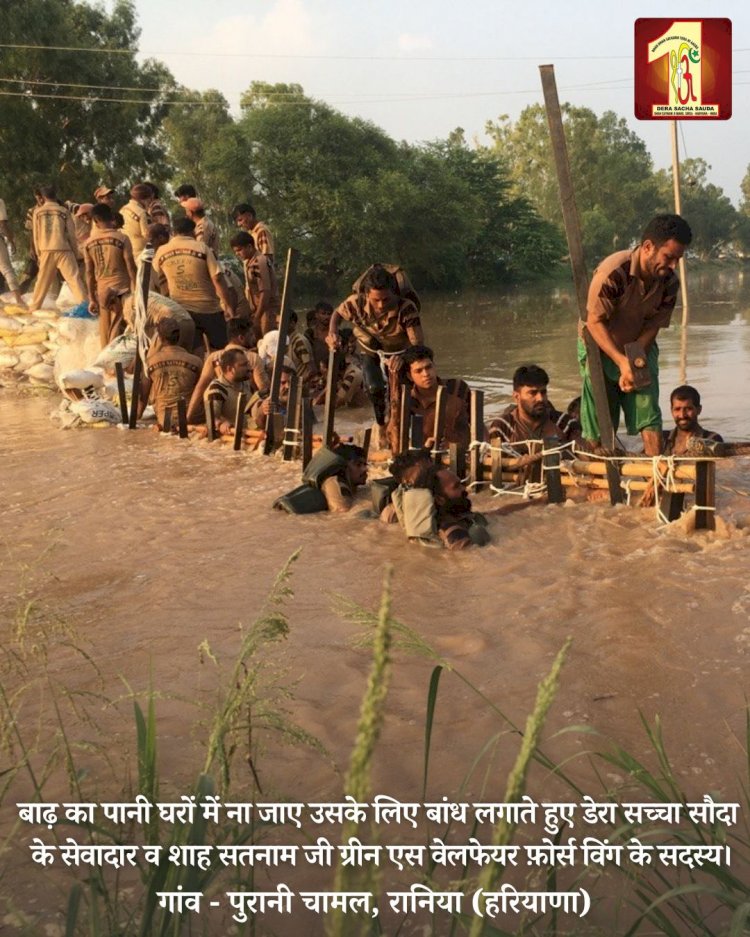 Fueled by the spirit to serve mankind, 2000 Dera Sacha Sauda volunteers forge a 20-feet deep sandbag embankment in the Ghaggar River to save flood victims