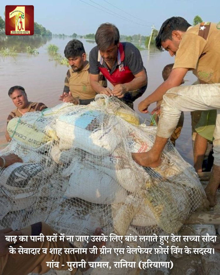 Fueled by the spirit to serve mankind, 2000 Dera Sacha Sauda volunteers forge a 20-feet deep sandbag embankment in the Ghaggar River to save flood victims