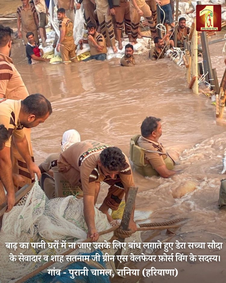 Fueled by the spirit to serve mankind, 2000 Dera Sacha Sauda volunteers forge a 20-feet deep sandbag embankment in the Ghaggar River to save flood victims