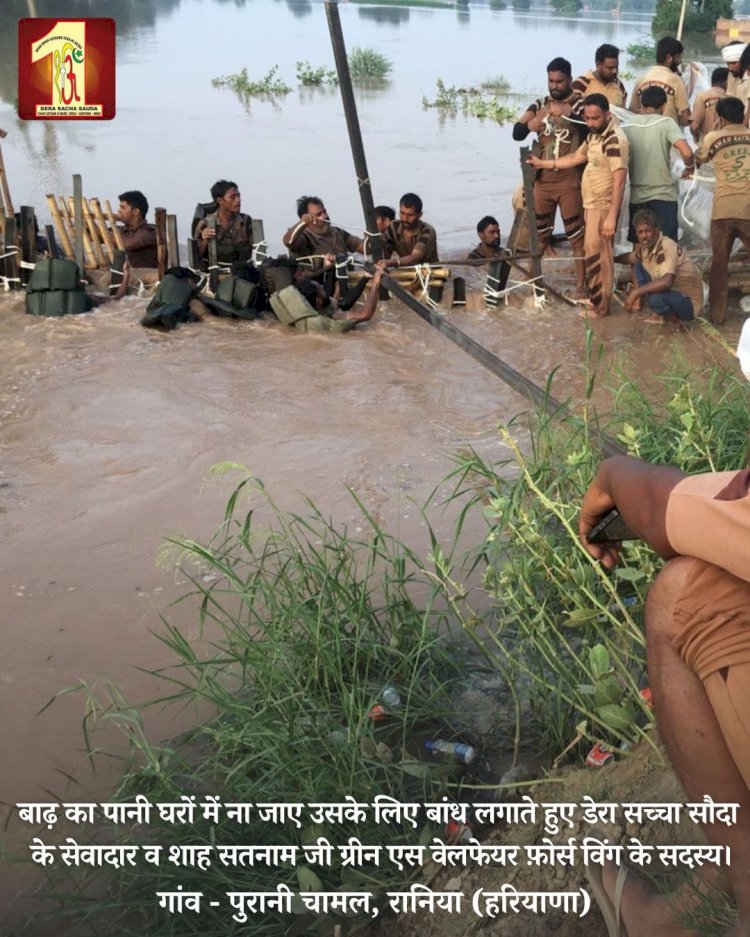 Fueled by the spirit to serve mankind, 2000 Dera Sacha Sauda volunteers forge a 20-feet deep sandbag embankment in the Ghaggar River to save flood victims