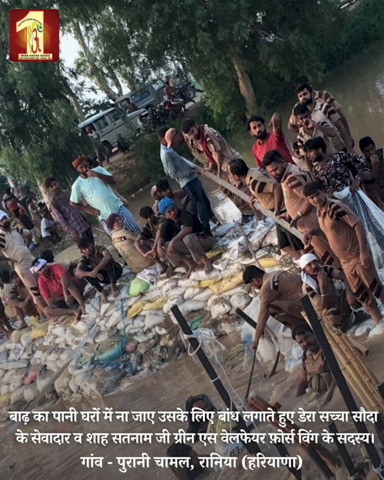 Fueled by the spirit to serve mankind, 2000 Dera Sacha Sauda volunteers forge a 20-feet deep sandbag embankment in the Ghaggar River to save flood victims