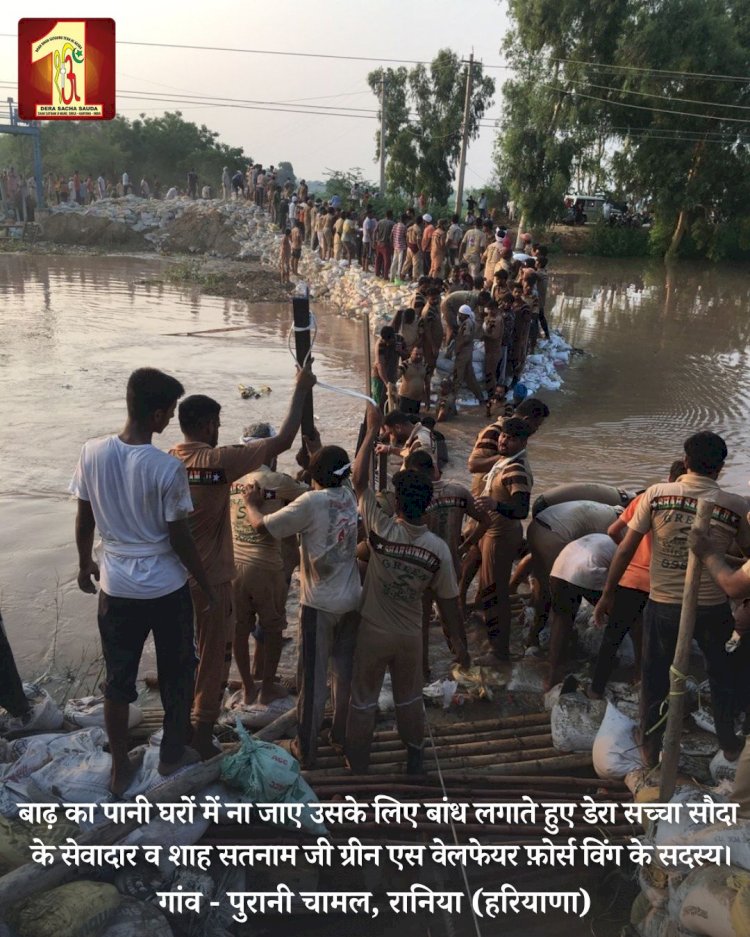 Fueled by the spirit to serve mankind, 2000 Dera Sacha Sauda volunteers forge a 20-feet deep sandbag embankment in the Ghaggar River to save flood victims