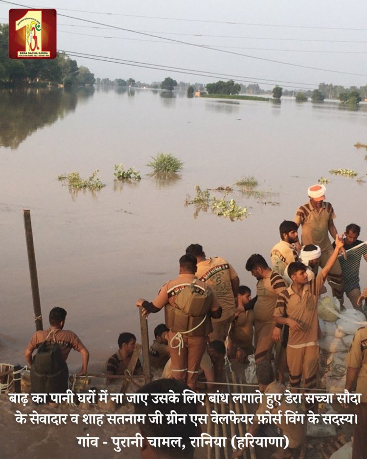 Fueled by the spirit to serve mankind, 2000 Dera Sacha Sauda volunteers forge a 20-feet deep sandbag embankment in the Ghaggar River to save flood victims