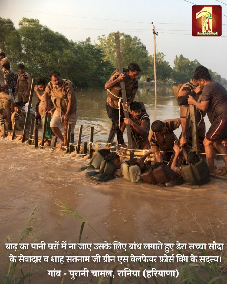 Fueled by the spirit to serve mankind, 2000 Dera Sacha Sauda volunteers forge a 20-feet deep sandbag embankment in the Ghaggar River to save flood victims