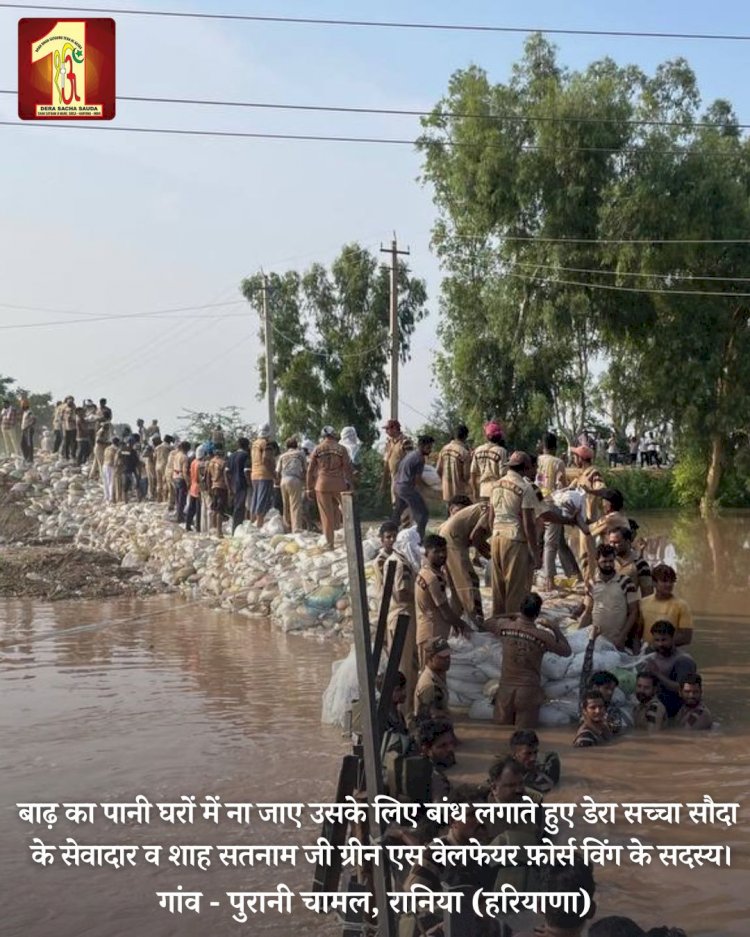 Fueled by the spirit to serve mankind, 2000 Dera Sacha Sauda volunteers forge a 20-feet deep sandbag embankment in the Ghaggar River to save flood victims