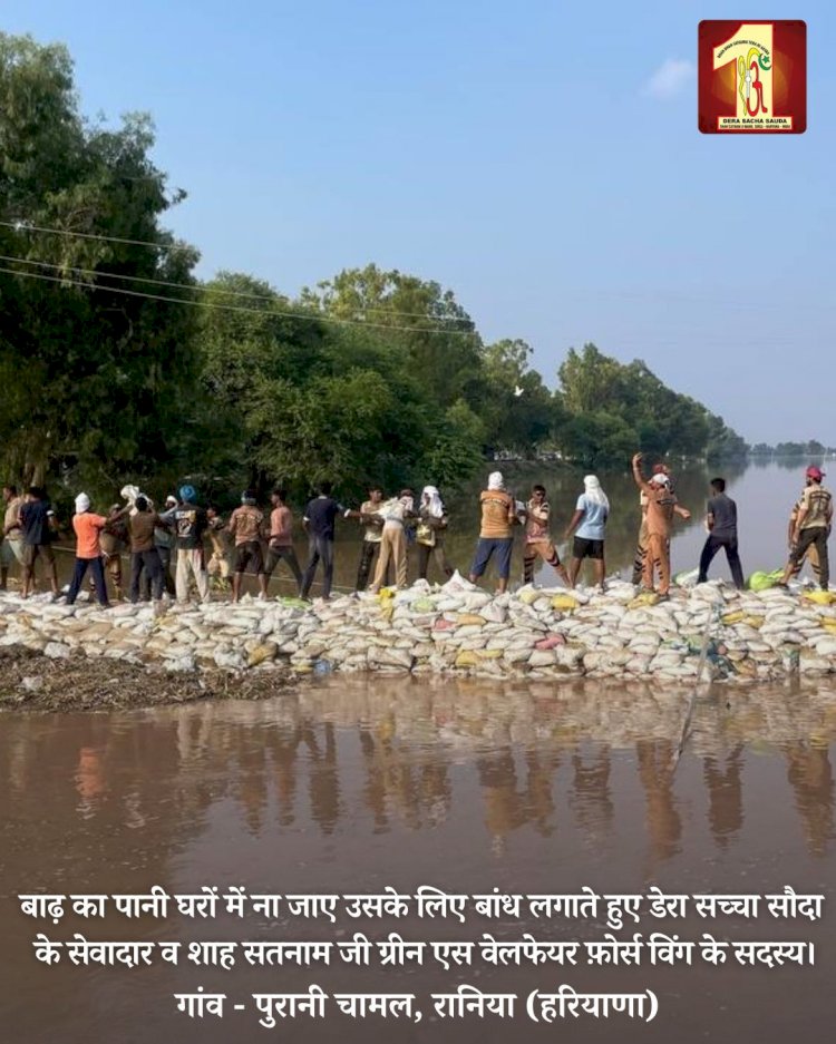 Fueled by the spirit to serve mankind, 2000 Dera Sacha Sauda volunteers forge a 20-feet deep sandbag embankment in the Ghaggar River to save flood victims