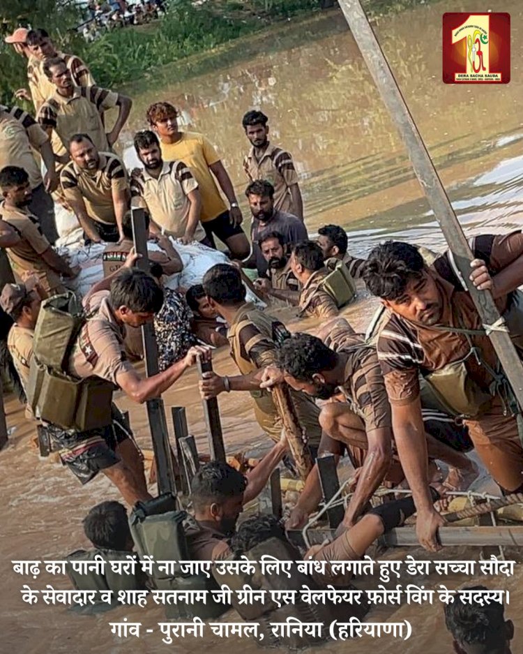 Fueled by the spirit to serve mankind, 2000 Dera Sacha Sauda volunteers forge a 20-feet deep sandbag embankment in the Ghaggar River to save flood victims