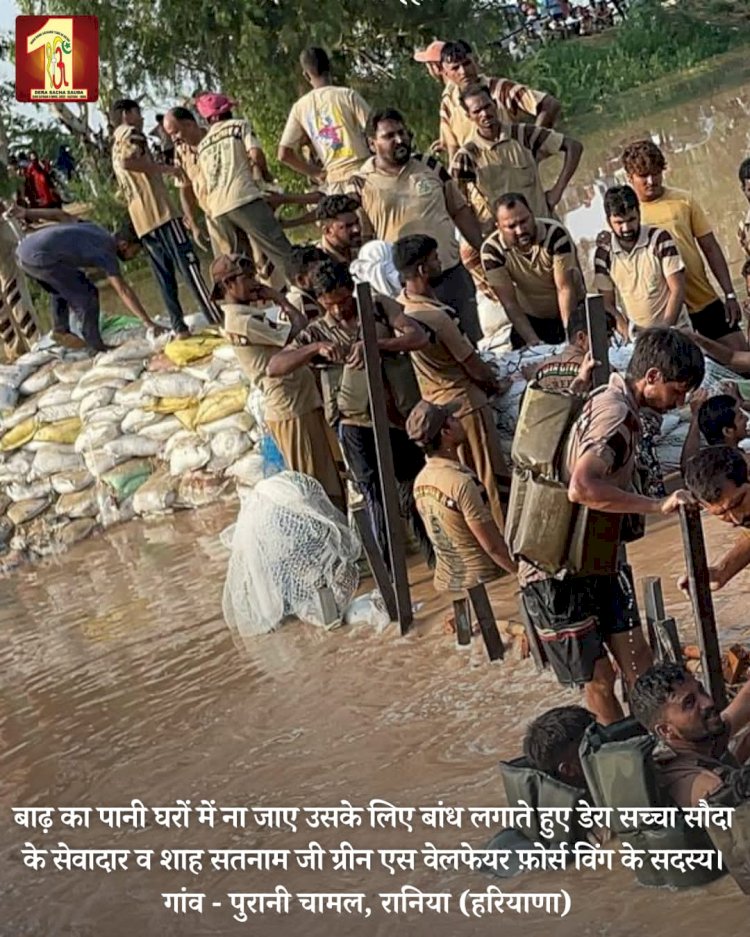 Fueled by the spirit to serve mankind, 2000 Dera Sacha Sauda volunteers forge a 20-feet deep sandbag embankment in the Ghaggar River to save flood victims