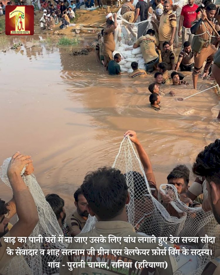 Fueled by the spirit to serve mankind, 2000 Dera Sacha Sauda volunteers forge a 20-feet deep sandbag embankment in the Ghaggar River to save flood victims