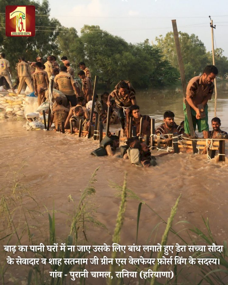 Fueled by the spirit to serve mankind, 2000 Dera Sacha Sauda volunteers forge a 20-feet deep sandbag embankment in the Ghaggar River to save flood victims