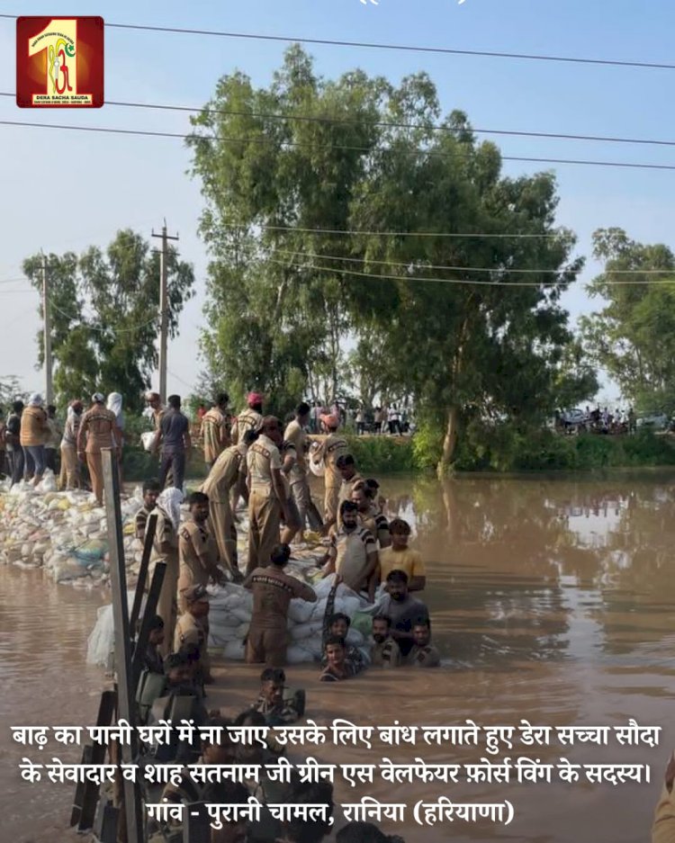 Fueled by the spirit to serve mankind, 2000 Dera Sacha Sauda volunteers forge a 20-feet deep sandbag embankment in the Ghaggar River to save flood victims