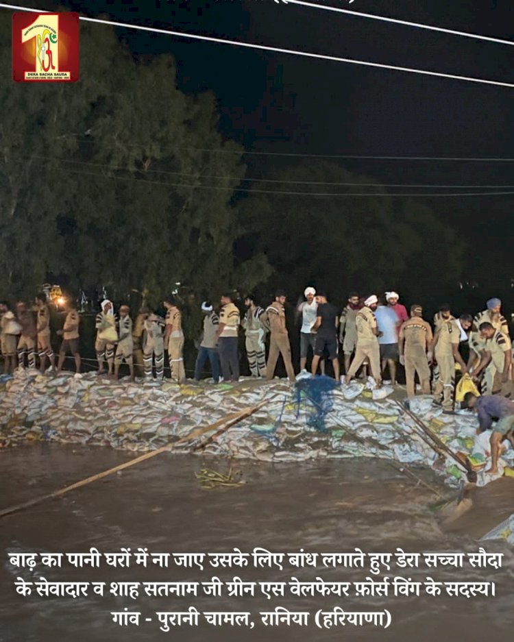 Fueled by the spirit to serve mankind, 2000 Dera Sacha Sauda volunteers forge a 20-feet deep sandbag embankment in the Ghaggar River to save flood victims