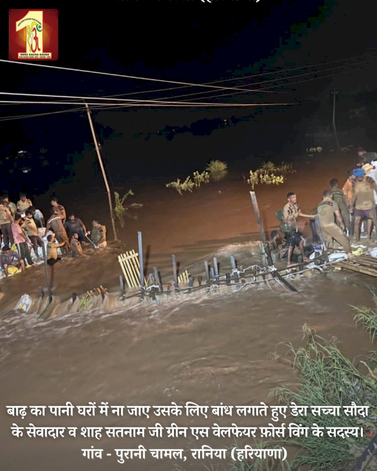 Fueled by the spirit to serve mankind, 2000 Dera Sacha Sauda volunteers forge a 20-feet deep sandbag embankment in the Ghaggar River to save flood victims