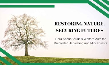 Restoring Nature, Securing Futures: Dera Sacha Sauda’s Welfare Acts for Rainwater Harvesting and Mini Forests